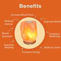 Saltpur Aroma Salt Lamp Small 3-5kg